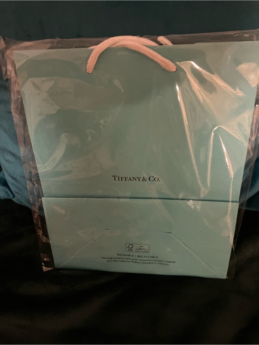 Tiffany & Co. Robin's Egg Blue Mini Gift Bag with White Rope Handles